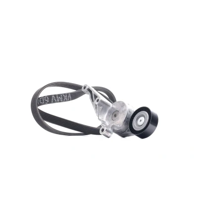 Billede af SKF VKMA 31091 Kileribberem VOLKSWAGEN: Multivan 5 (7HM, Transporter 5, Caddy 3