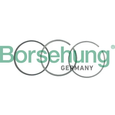 Billede af Borsehung B19036 Stempelringsæt VOLKSWAGEN: GOLF 2, 3, 1