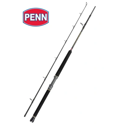 Billede af Penn Regiment III Boat 12 20 lbs