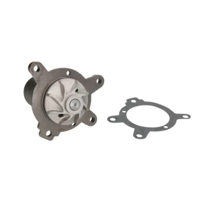 Billede af THERMOTEC D1M002TT Vandpumpe med pakning mekanisk MERCEDES BENZ: G klasse SUV, T1 Bus