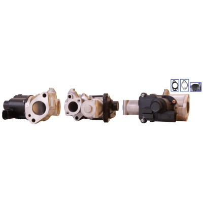 Billede af DRI 717730125 EGR Ventil elektrisk med pakninger AUDI: A4 B8 Avant, Q7, Sedan, VOLKSWAGEN: Touareg I