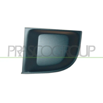 Billede af PRASCO Premium FT0302124 Kofangergitter uden hul/huller til tågelygter foran venstre FIAT: 500 Hatchback, C Cabriolet
