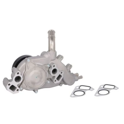 Billede af THERMOTEC D1Y070TT Vandpumpe med pakning