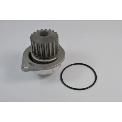 Billede af THERMOTEC D1P010TT Vandpumpe 19 med pakning mekanisk PEUGEOT: 308 SW 2, 207 Hatchback, 206 CITROËN: C3 III, C4 II I Hatchback