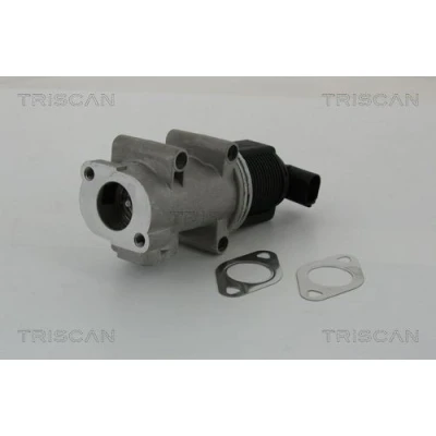 Billede af TRISCAN 8813 10005 EGR Ventil elektronisk med pakninger FIAT: BRAVO 2, Multipla, ALFA ROMEO: 147