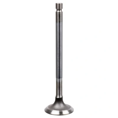 Billede af FEBI BILSTEIN 22064 Indsugningsventil 30,3