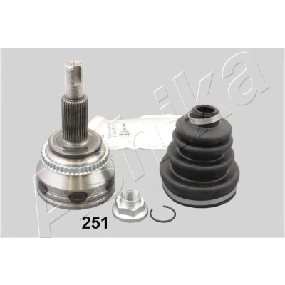 Billede af ASHIKA 62 02 251 Knokkelled hjulsidet TOYOTA: Avensis II Station Wagon, Corolla Verso, Sedan