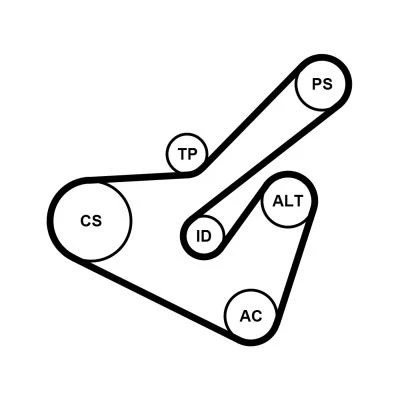 Billede af CONTITECH 6PK1725K2 Kileribberem PEUGEOT: 206 Hatchback