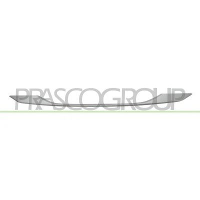 Billede af PRASCO PG5041245 Pynte /beskyttelsesliste, kofanger foran