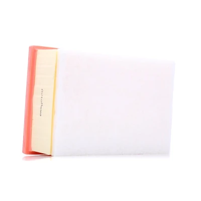 Billede af AUTOMEGA 180029010 Luftfilter 77 168 246 rektangulær Filterindsats PEUGEOT: 307 Hatchback, SW, Stationcar, CITROËN: C4 I Coupe