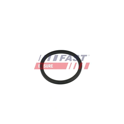 Billede af FAST FT49853 Pakninger FORD: Transit Mk6 Ladvogn/Chassis