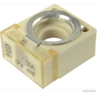 Billede af HERTH+BUSS ELPARTS 50295880 Sikring 50 58