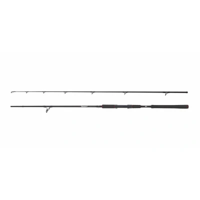 Billede af Beast Pike Spinning stang