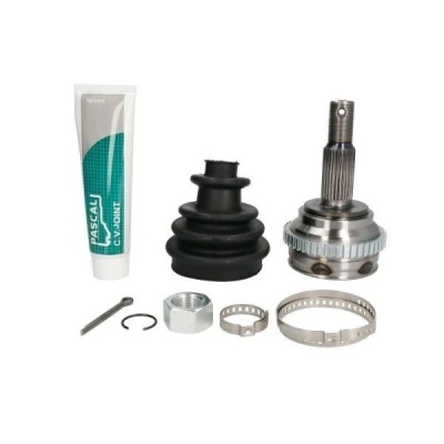 Billede af PASCAL G1Y010PC Knokkelled hjulsidet