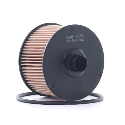 Billede af FILTRON OE 666/3 Oliefilter Filterindsats RENAULT: GRAND SCENIC 3, MEGANE 3 Grandtour, Clio 4, DACIA: Duster II, LOGAN MCV 2, SANDERO 2