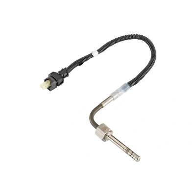 Billede af VDO A2C59507511Z Sensoren