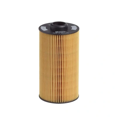 Billede af HENGST FILTER E202H01 D34 Oliefilter Filterindsats BMW: 5 Sedan, X5, Touring, LAND ROVER: Range Rover 3