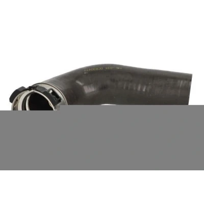 Billede af THERMOTEC DCR304TT Trykslange RENAULT: GRAND SCENIC 3, MEGANE 3 Grandtour,
