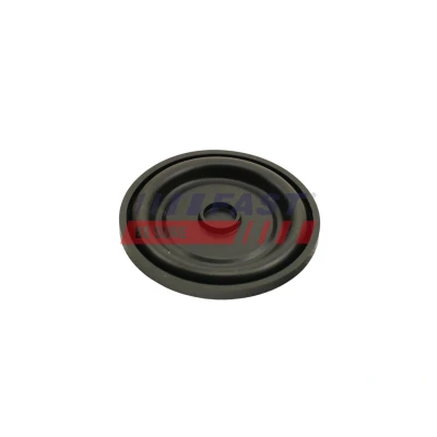 Billede af FAST FT60208 EGR Ventil