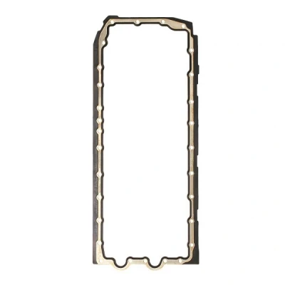 Billede af REINZ 71 38669 00 Bundkarpakning Gummi BMW: 3 Touring, Sedan, 5 Touring