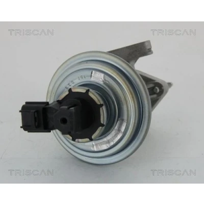 Billede af TRISCAN 8813 16045 EGR Ventil vaccumstyret uden pakninger