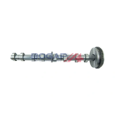 Billede af BOGAP A1331102 Knastaksel AUDI: A4 B8 Avant, A3 Sportback, Hatchback, VOLKSWAGEN: Passat B7 Variant