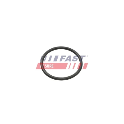Billede af FAST FT50401 Indsugningsmanifold OPEL: Corsa D Hatchback