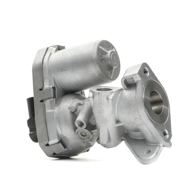 Billede af DELPHI EG10399 12B1 EGR Ventil med pakninger PEUGEOT: Boxer Van, Bus, FORD: Transit Mk6 Tourneo, FIAT: Grande Punto Hatchback