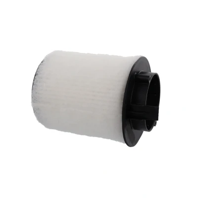 Billede af CORTECO 80004668 Luftfilter 150 250 Filterindsats AUDI: R8 Coupe