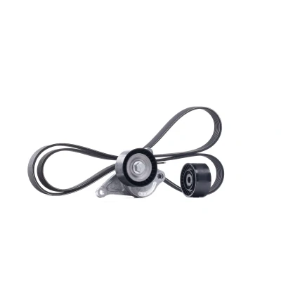 Billede af SKF VKMA 36084 Kileribberem RENAULT: MEGANE 3 Grandtour, GRAND SCENIC 3, 2 Kombi, NISSAN: Qashqai / Qashqai+2 I, X Trail