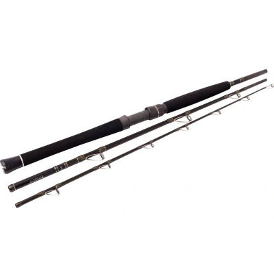 Billede af Westin W2 Boat rod 20 30lbs / 150 400g (3 pieces) Sea fishing