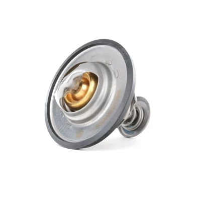 Billede af RIDEX 316T0120 Termostat 89oC med pakning uden hus OPEL: Astra H Van, Corsa D Hatchback, CHEVROLET: Cruze Sedan