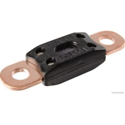 Billede af Sikring HERTH+BUSS ELPARTS 95980803003