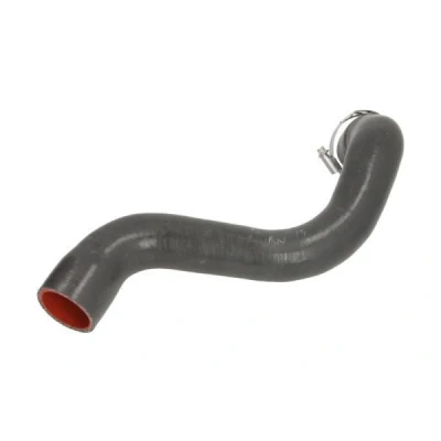 Billede af THERMOTEC DCR201TTS Trykslange RENAULT: GRAND SCENIC 2