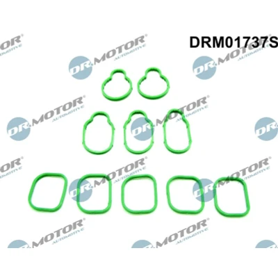 Billede af DR.MOTOR AUTOMOTIVE DRM01737S Pakningssæt, indsugningsmanifold VOLKSWAGEN: Golf 4 Variant,