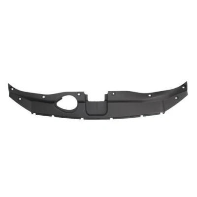 Billede af BLIC 6502 08 3181270P Radiatorpanel foran HYUNDAI: Santa Fe II (CM) 2.7 4x4, 2.2 CRDi, CRDi GLS, GLS 2.7, V6