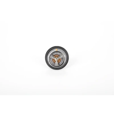 Billede af Continental 28.0200 4125.2 Termostat 88 52 med pakning