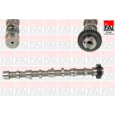 Billede af FAI AutoParts C347 Knastaksel VOLKSWAGEN: Multivan 6, Passat B6 Variant, Transporter SKODA: Fabia 2, AUDI: A4 B8 Avant