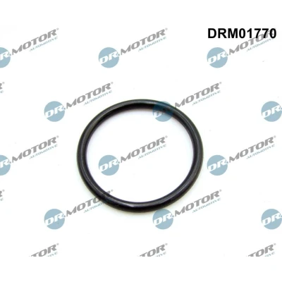 Billede af DR.MOTOR AUTOMOTIVE DRM01770 Indsugningspakning FIAT: Ducato III Ladvogn / Chassis, PEUGEOT: Boxer Bus, FORD: Transit Mk6 Bus