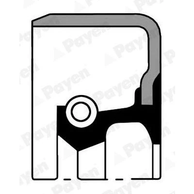 Billede af PAYEN NJ540 Pakninger