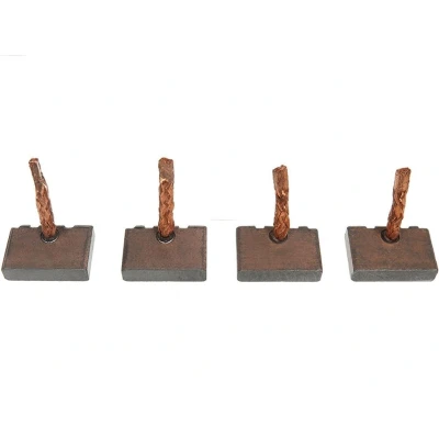 Billede af AS PL BSX190 191 Kulbørste, starter