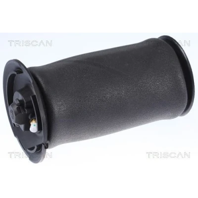 Billede af TRISCAN 8720 11202 Luftfjeder, undervogn BMW: 5 Touring