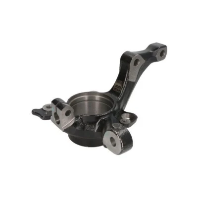 Billede af REINHOCH RH08 0042 Hjulspindel højre foraksel VOLKSWAGEN: Golf 4, Polo V Hatchback, 5