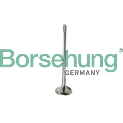 Billede af Borsehung B10321 Udstødningsventil VOLKSWAGEN: Polo V Hatchback, Scirocco III, SEAT: Leon III Hatchback