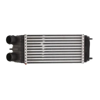 Billede af THERMOTEC DAC003TT Intercooler 300 157 80