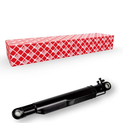 Billede af FEBI BILSTEIN 172299 Kipcylinder, førerhus