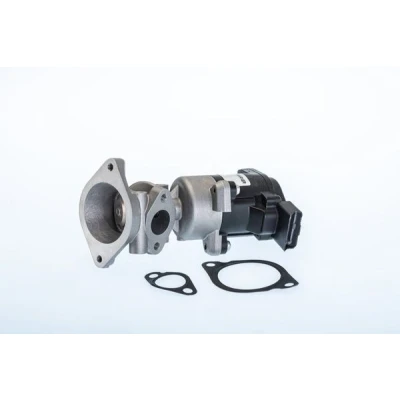 Billede af WAHLER 710984R EGR Ventil elektrisk med pakning LAND ROVER: Discovery 3, Range Rover Sport