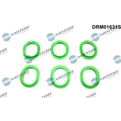 Billede af Pakningssæt, indsugningsmanifold Dr.Motor Automotive DRM01631S