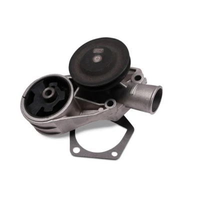 Billede af HEPU P641 Vandpumpe med pakning mekanisk Metal