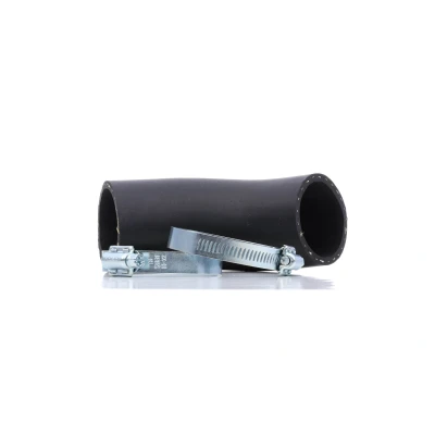 Billede af BUGIAD 84601 Trykslange 62 BMW: 3 Touring, Sedan